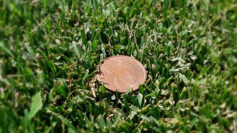 coin in grass 