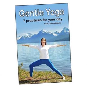 gentle yoga 7 beginning yoga practices for mid life 40s 70s including am energy pm relaxation improving balance relief from desk work core strength and more.