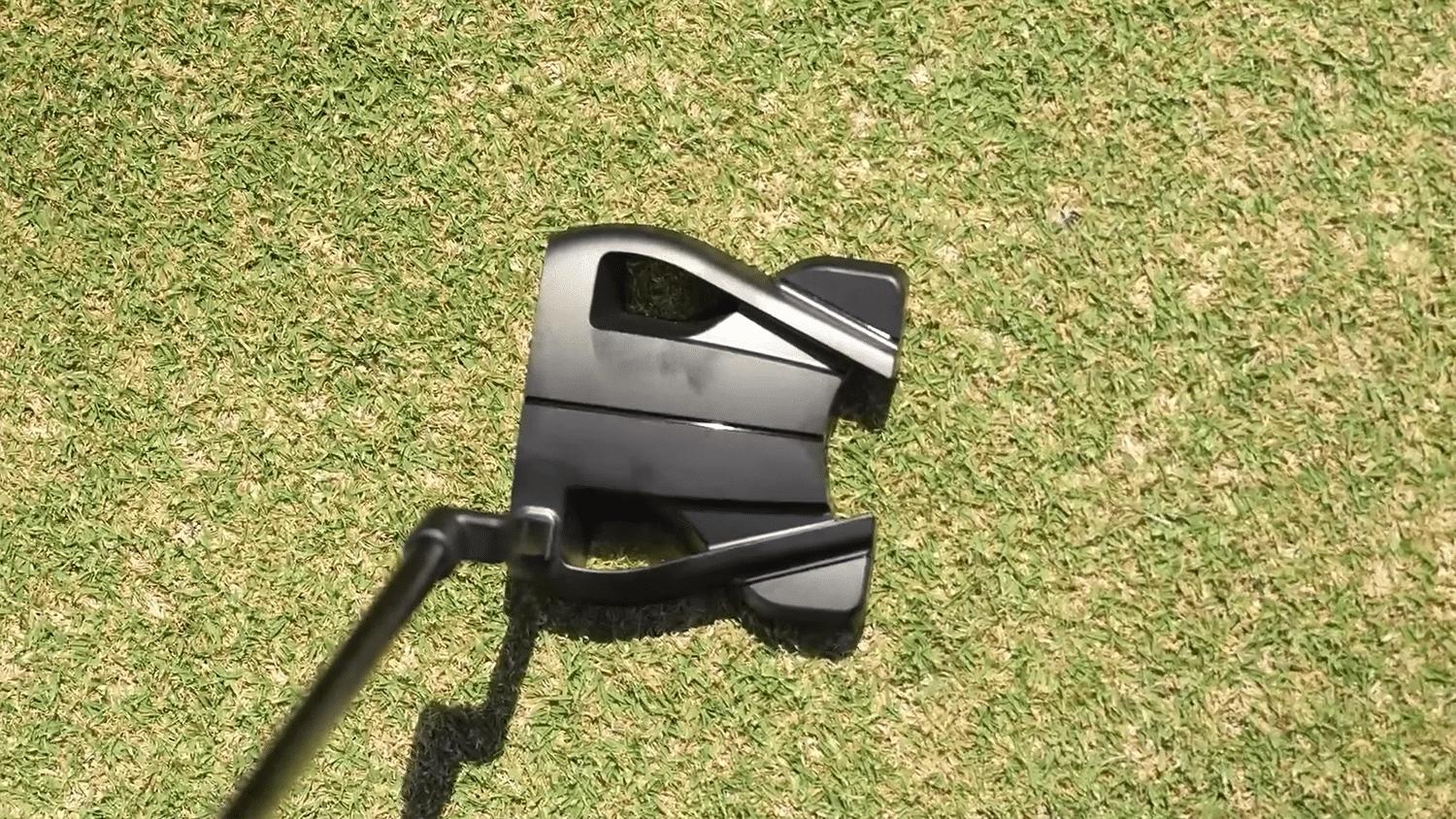 Black golf putter on green grass surface
