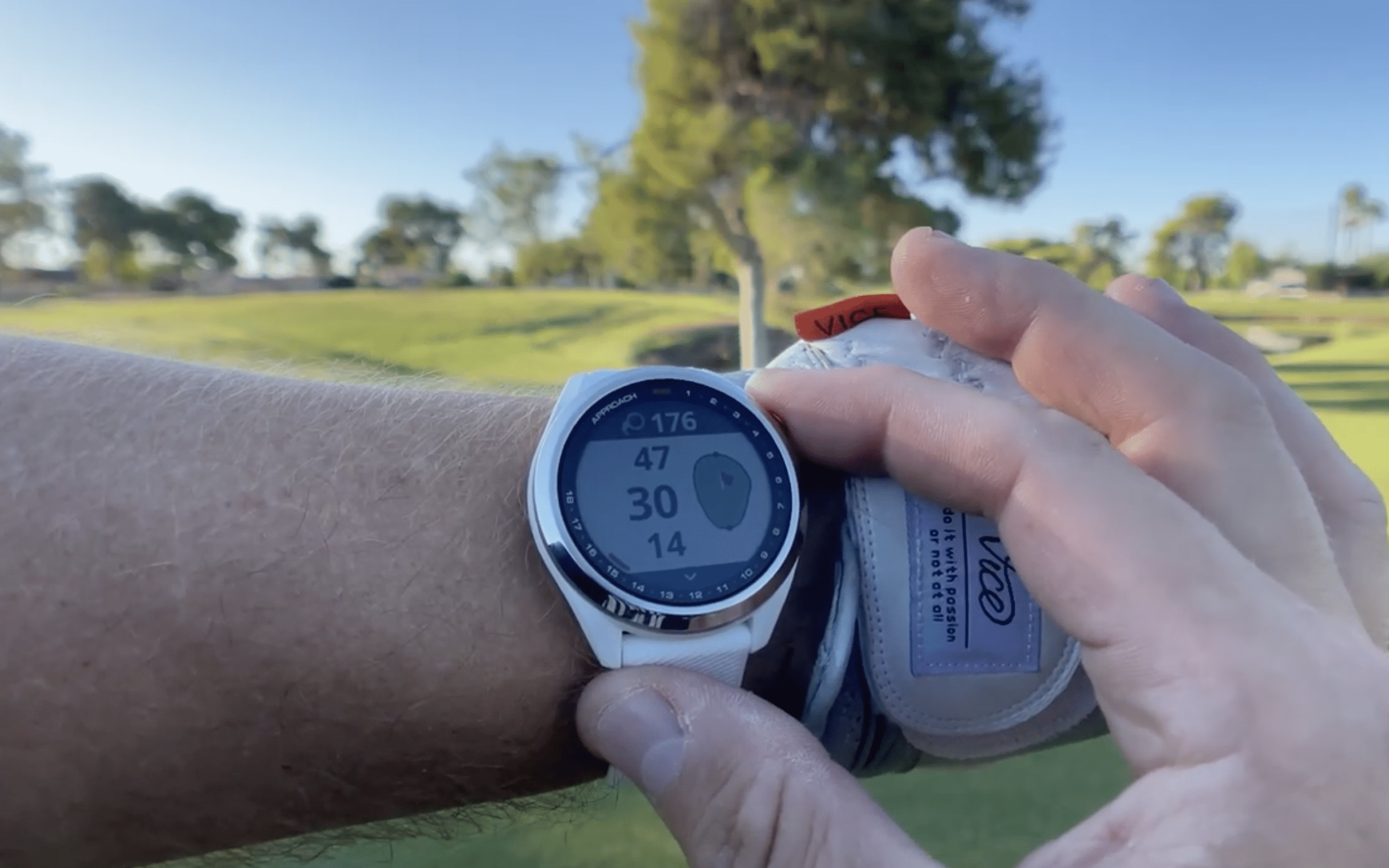 Golfer checking GPS watch on course