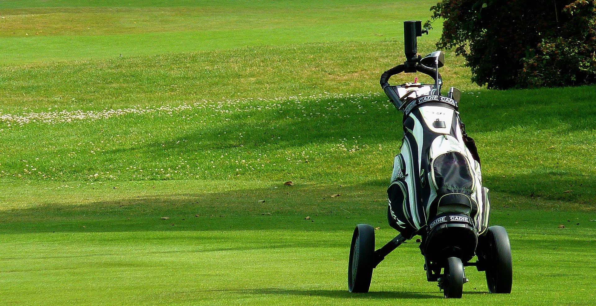 Golf bag on cart on green course