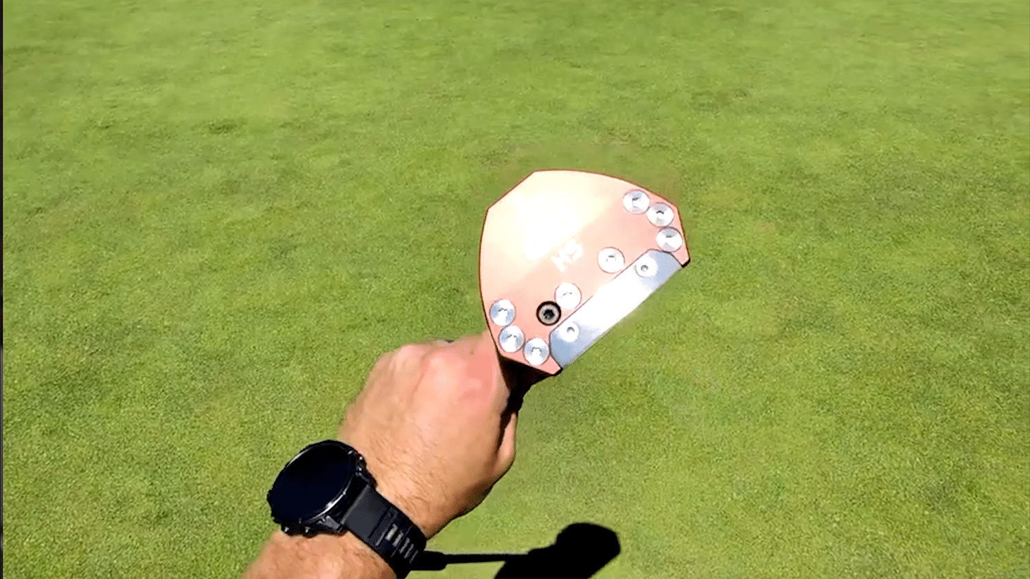 Person holding a golf putter on green grass