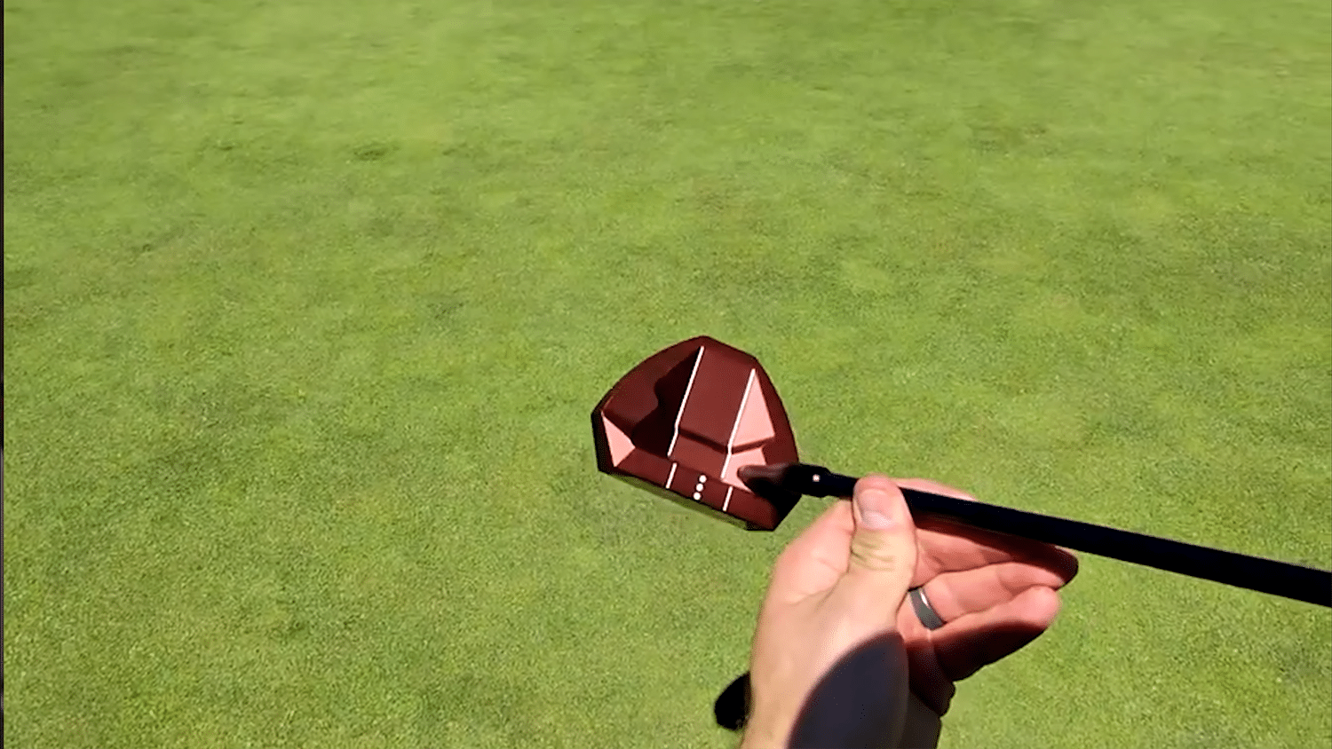 Person holding golf putter on green grass