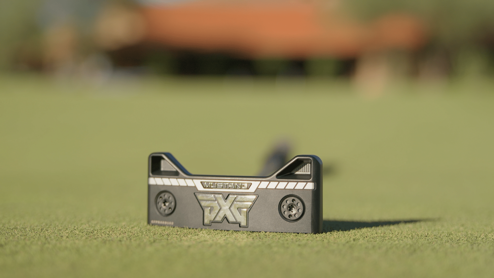 Golf putter on green grass close-up