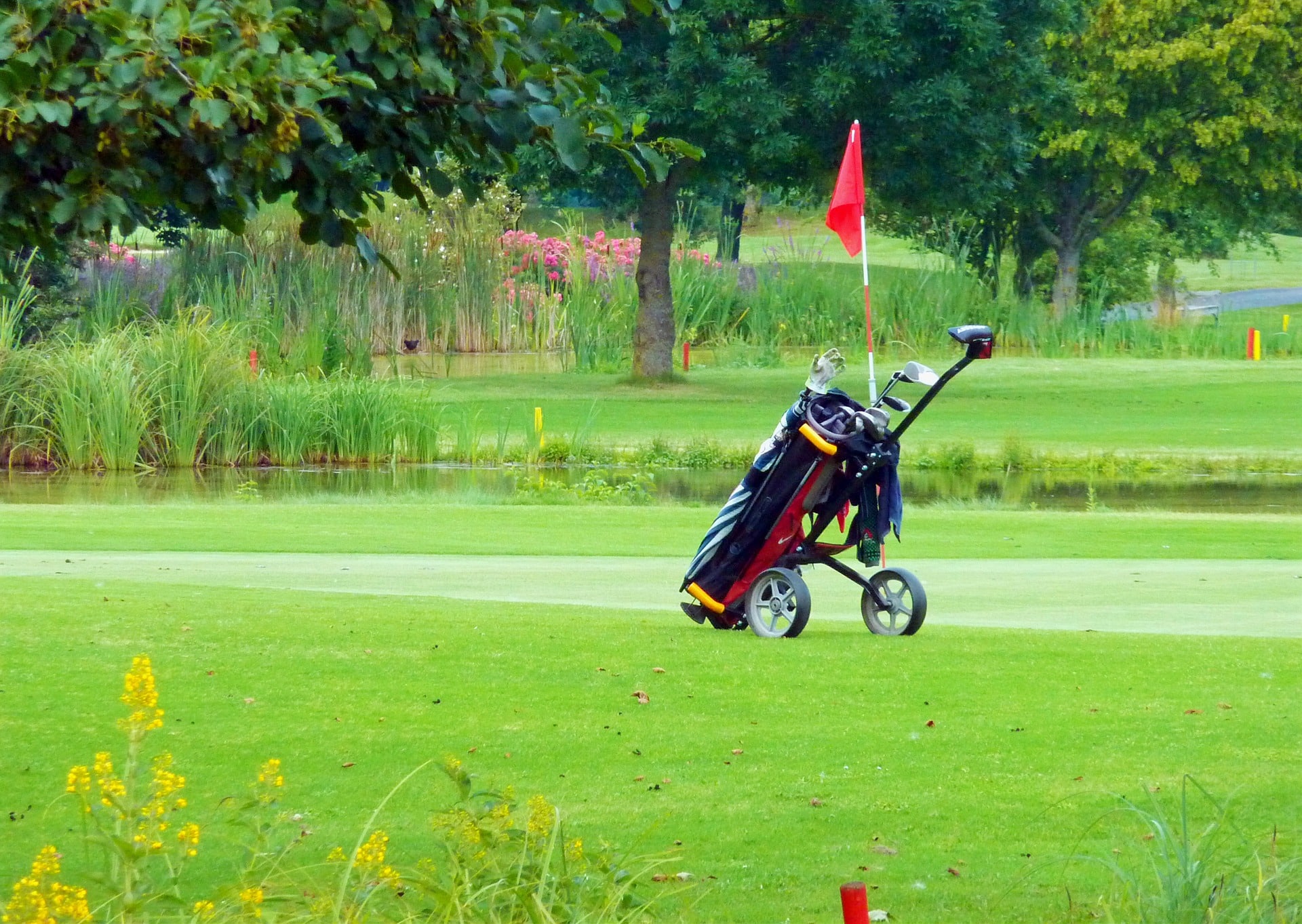 Golf bag on cart near red flag on course