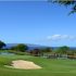 Best Golf Courses in Sarasota Florida